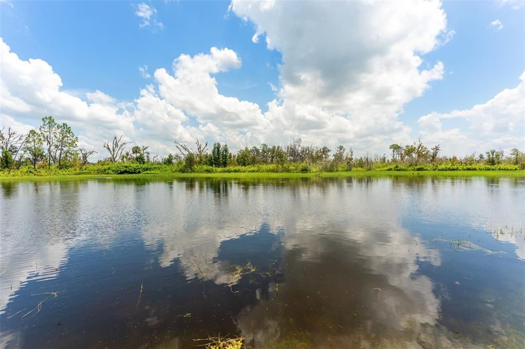 En Venta: $424,900 (4 camas, 2 baños, 2633 Pies cuadrados)