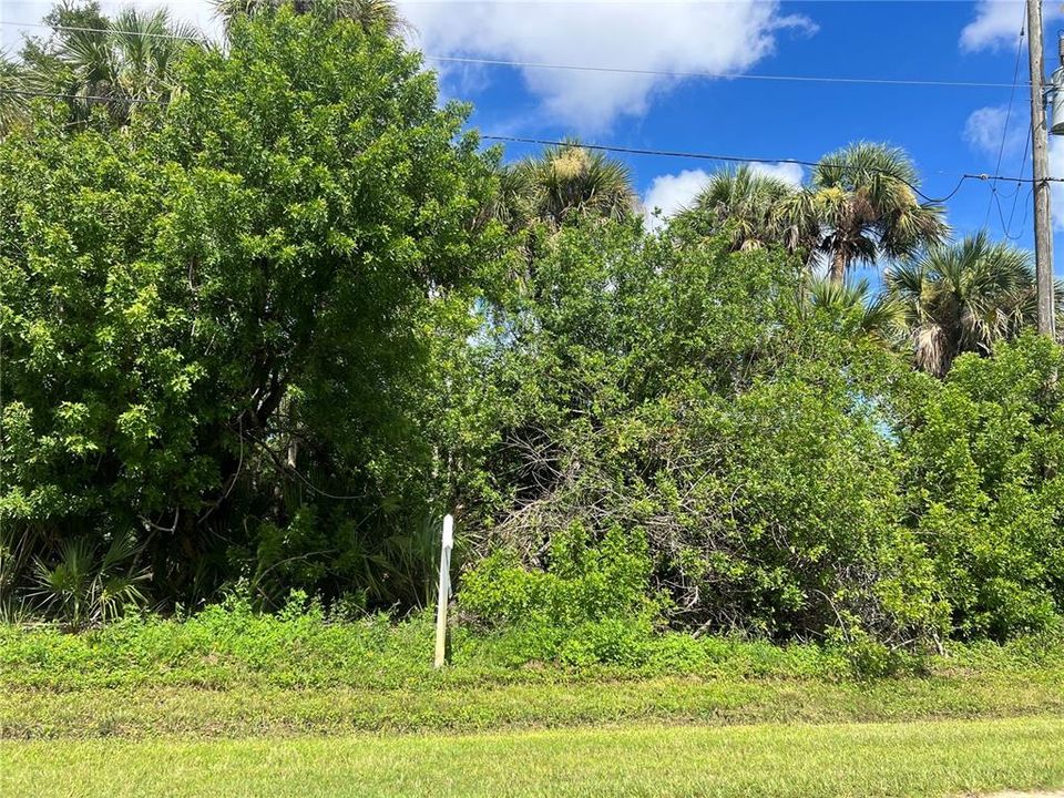 For Sale: $22,000 (0.17 acres)