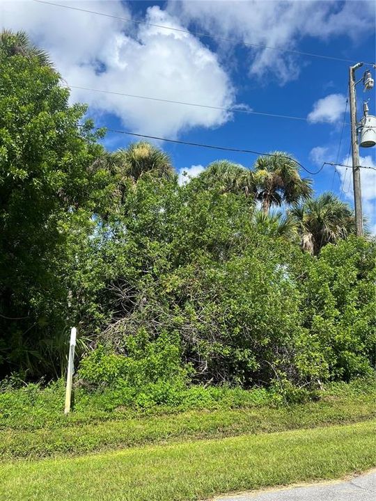 For Sale: $22,000 (0.17 acres)