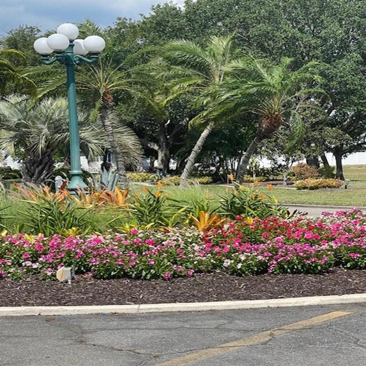 待售: $29,000 (0.08 acres)