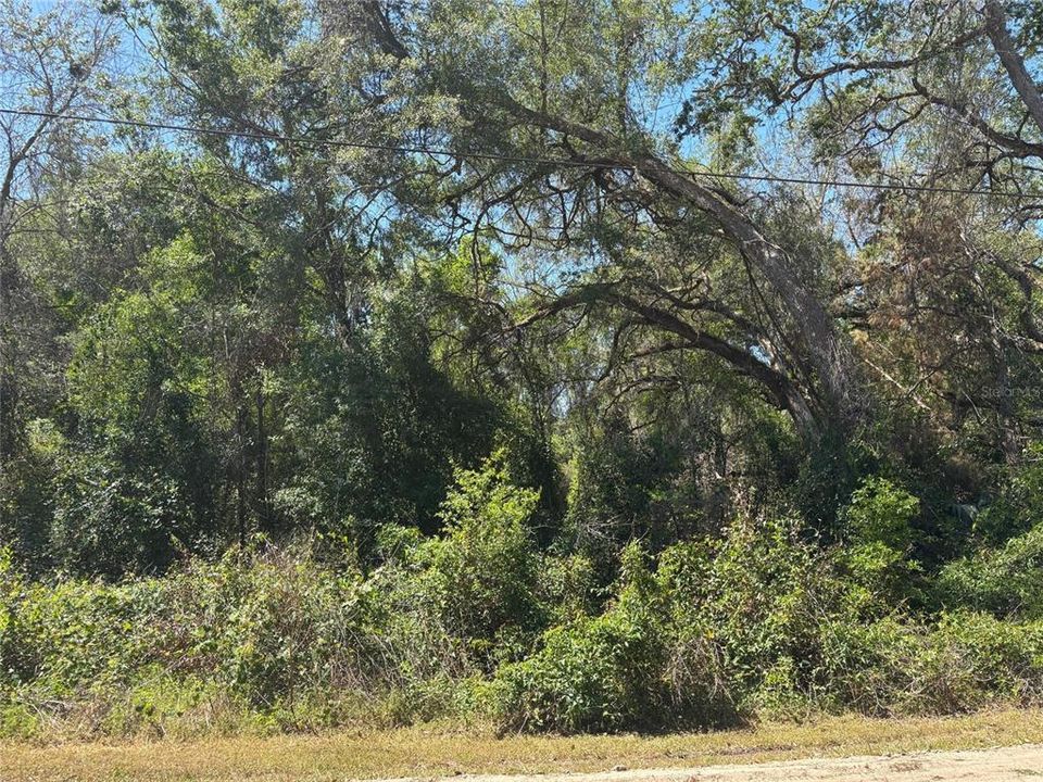 На продажу: $20,000 (0.34 acres)