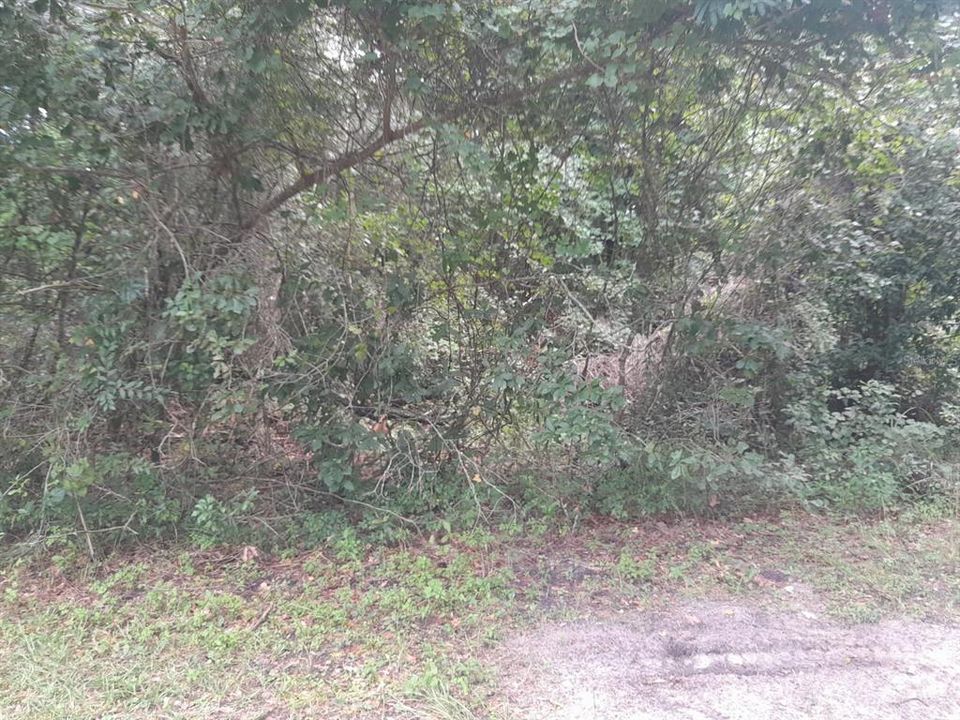 待售: $122,000 (3.00 acres)