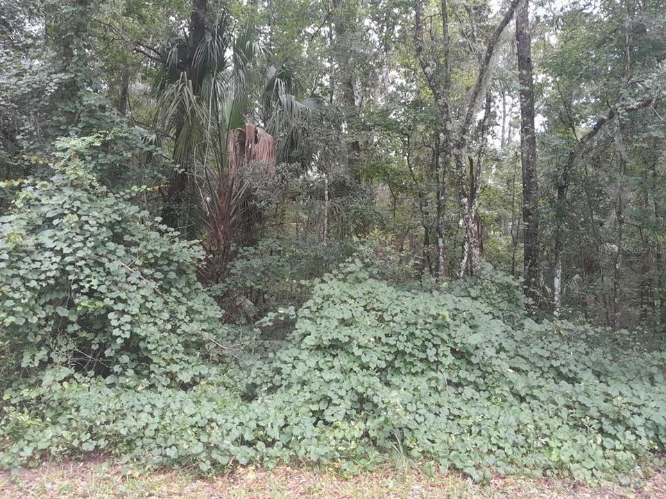 待售: $122,000 (3.00 acres)