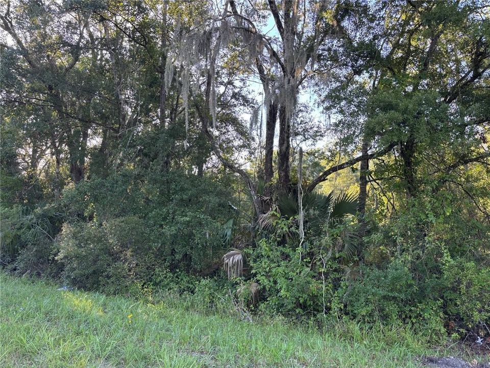 待售: $75,000 (3.65 acres)