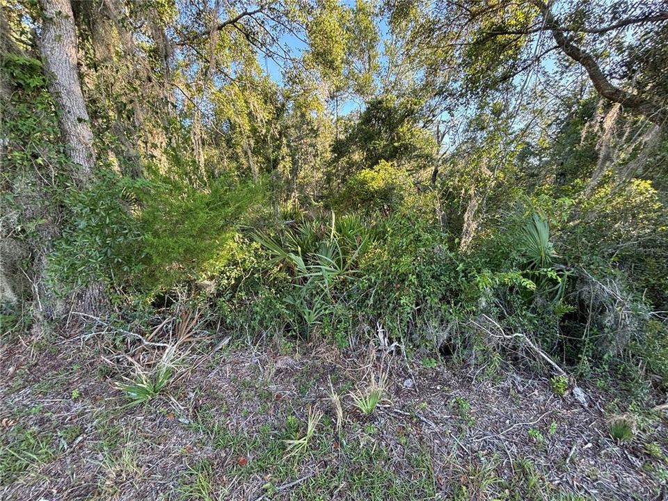 待售: $75,000 (3.65 acres)