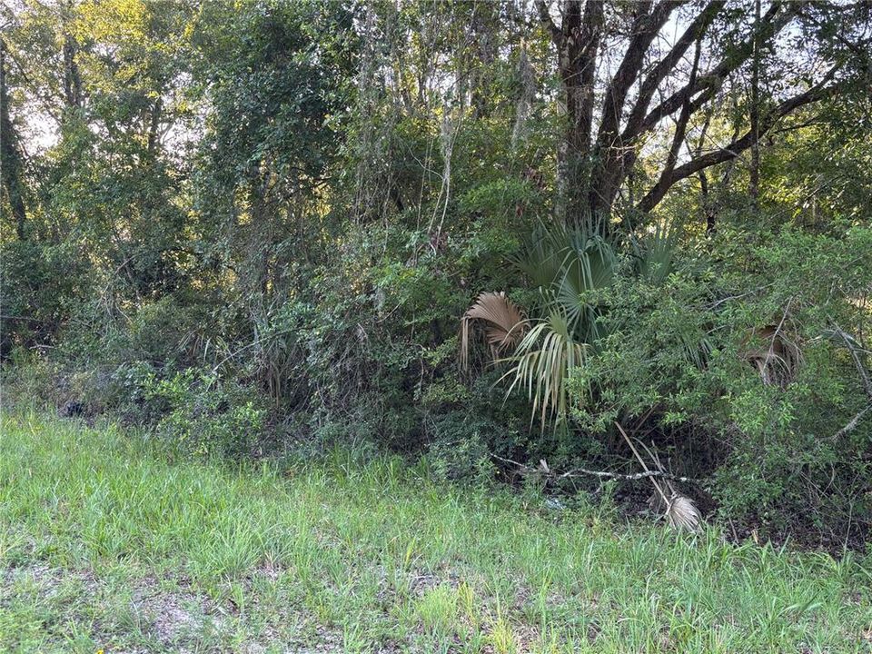 待售: $75,000 (3.65 acres)