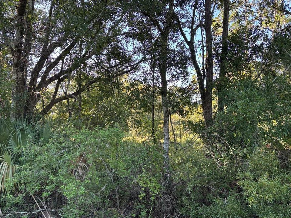 待售: $75,000 (3.65 acres)