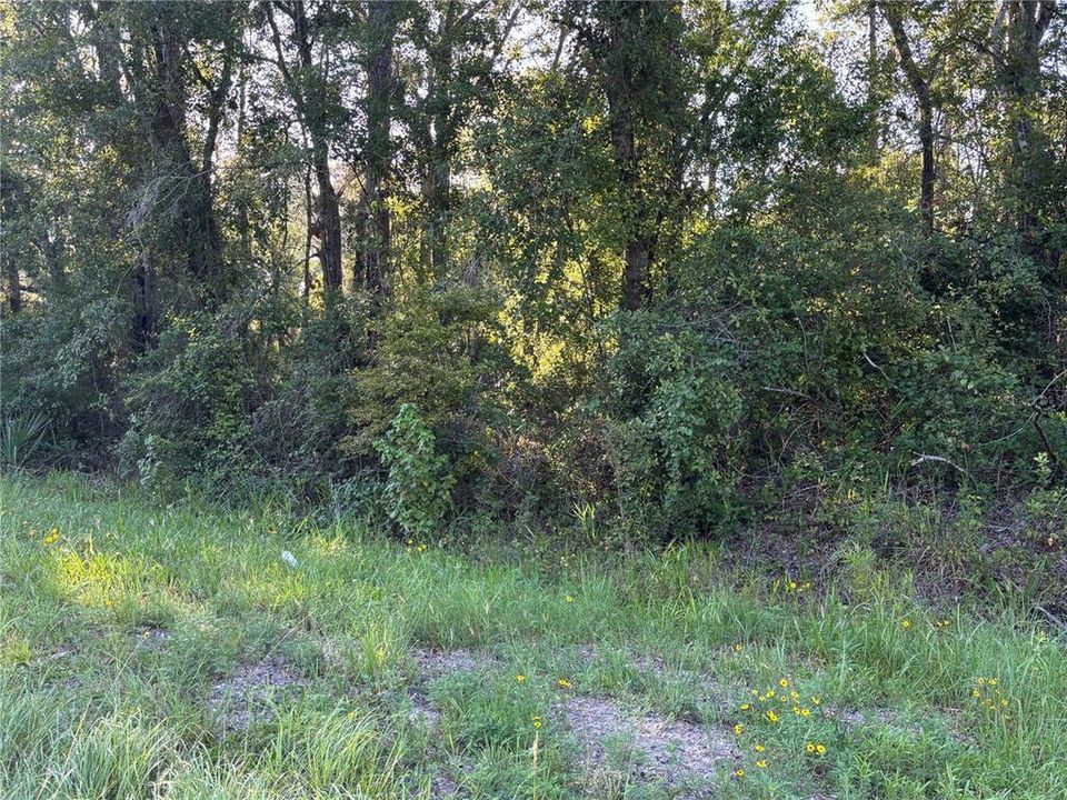 待售: $75,000 (3.65 acres)