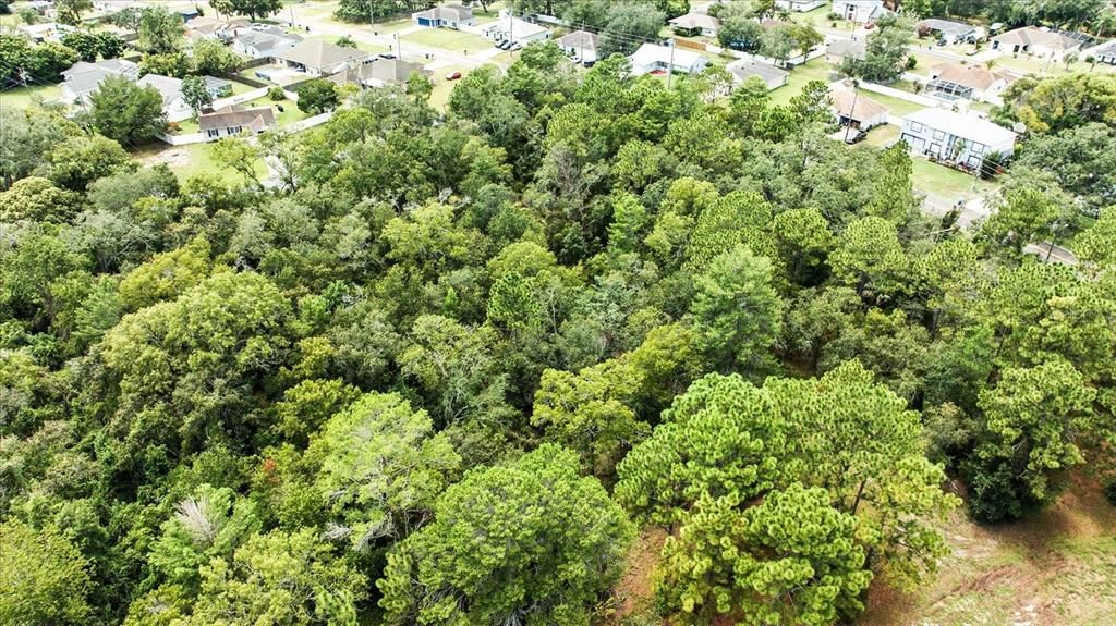 Activo con contrato: $399,000 (5.30 acres)