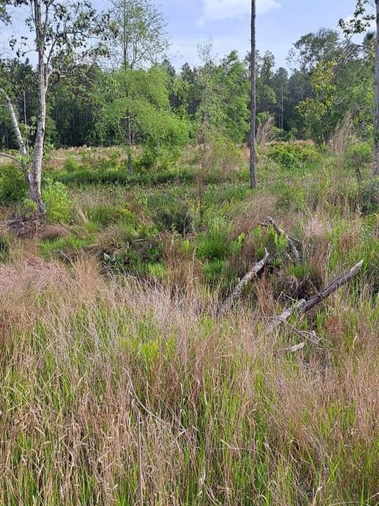 For Sale: $240,000 (16.00 acres)