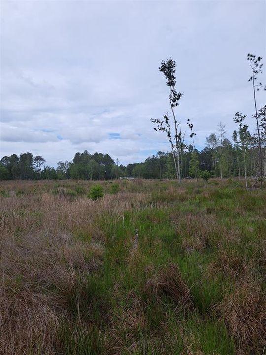 For Sale: $240,000 (16.00 acres)