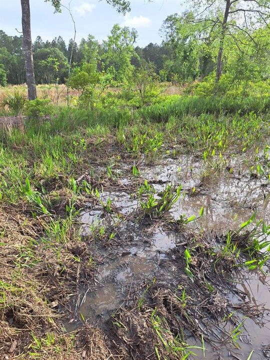 For Sale: $240,000 (16.00 acres)