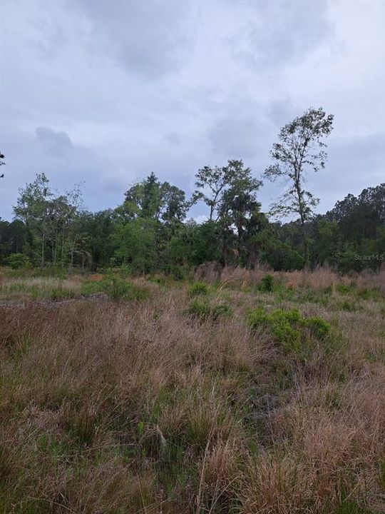 For Sale: $240,000 (16.00 acres)