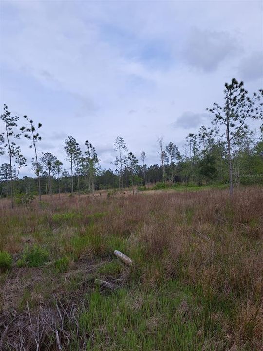 For Sale: $240,000 (16.00 acres)