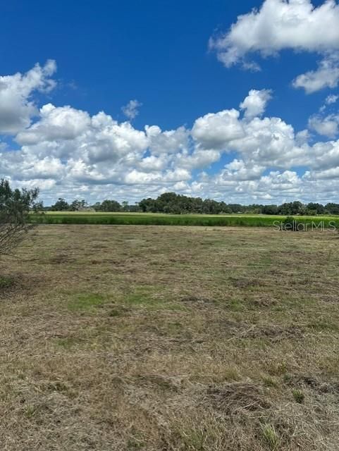 Active With Contract: $550,000 (33.57 acres)