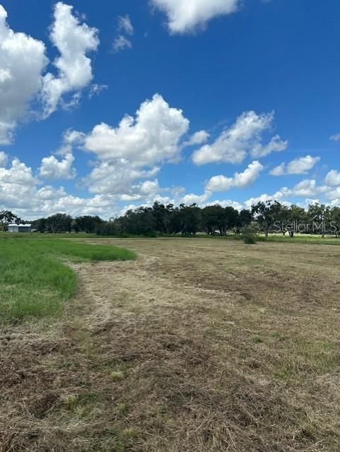 Active With Contract: $550,000 (33.57 acres)