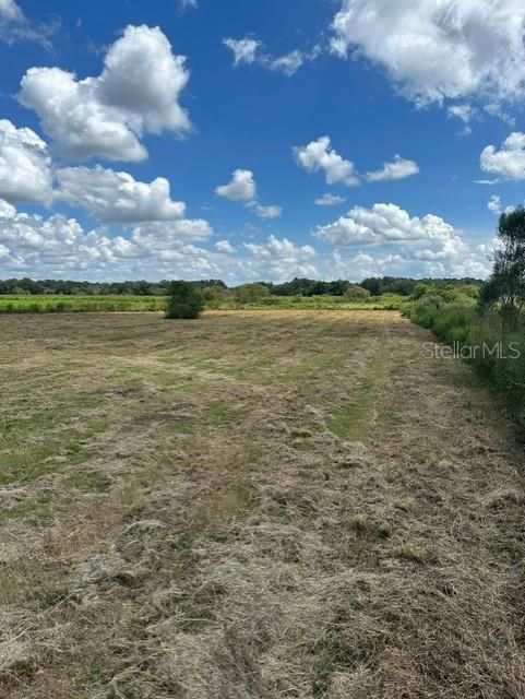 Active With Contract: $550,000 (33.57 acres)