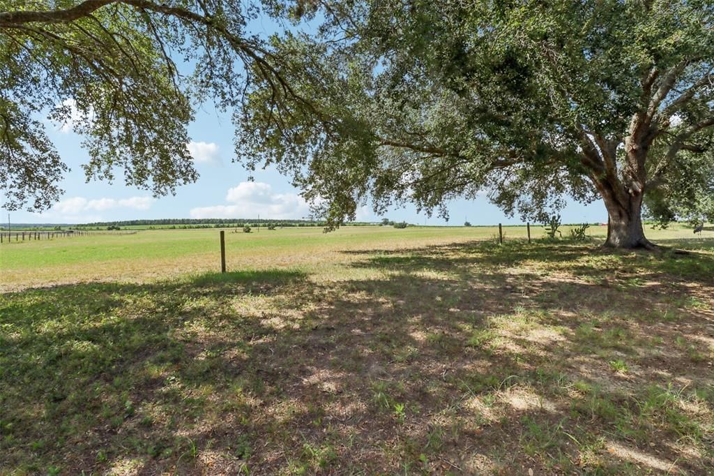 На продажу: $309,000 (3 спален, 2 ванн, 1531 Квадратных фут)