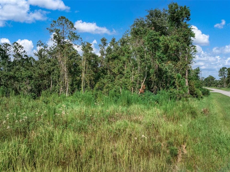 For Sale: $36,900 (0.23 acres)