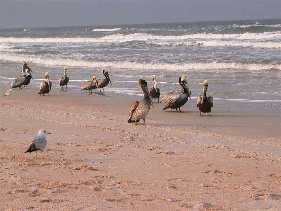 En Venta: $425,000 (2 camas, 2 baños, 1581 Pies cuadrados)