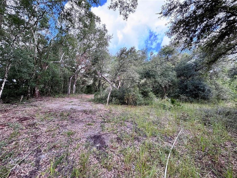 For Sale: $59,500 (1.86 acres)