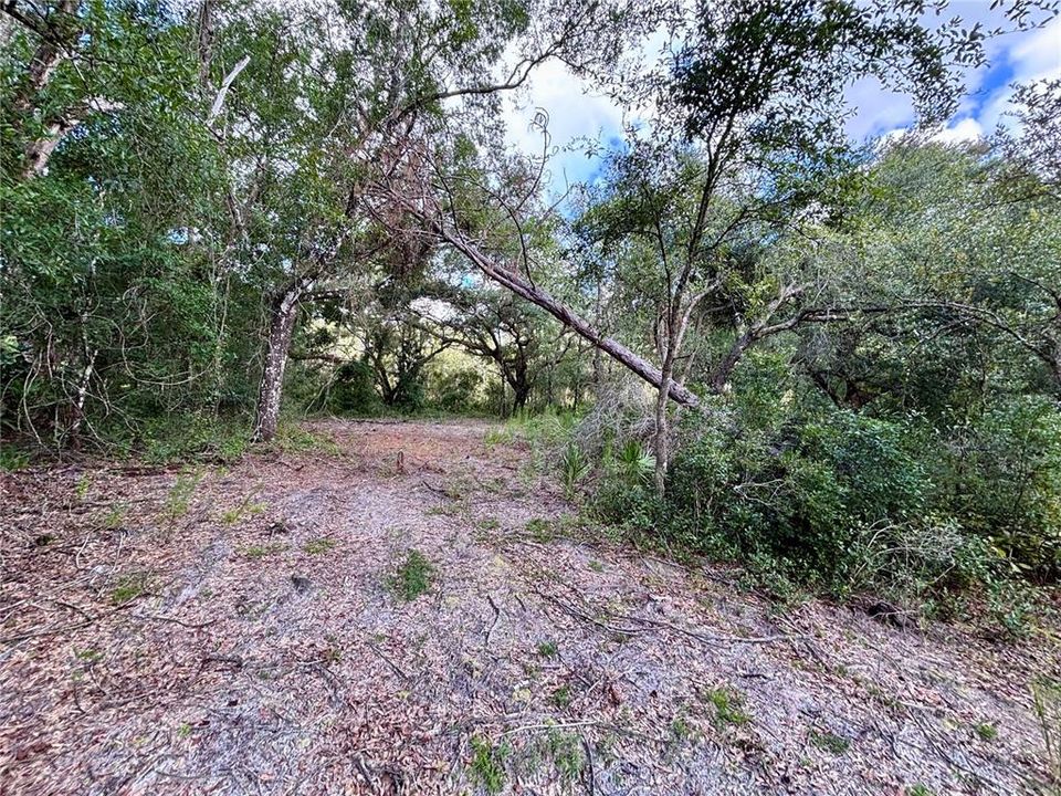 For Sale: $59,500 (1.86 acres)