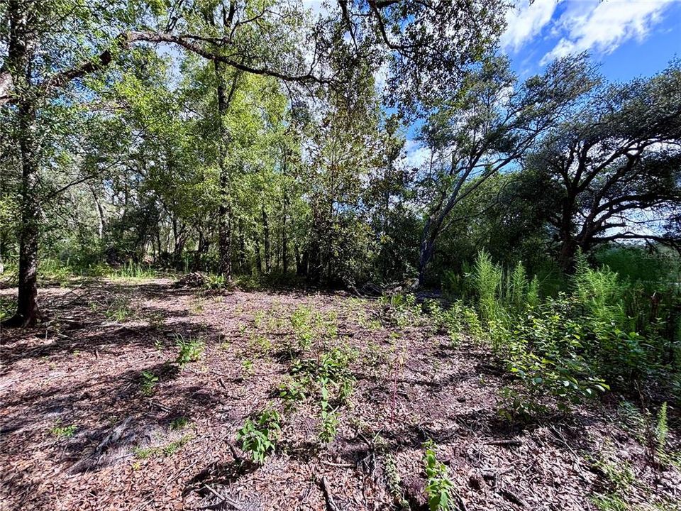 For Sale: $59,500 (1.86 acres)