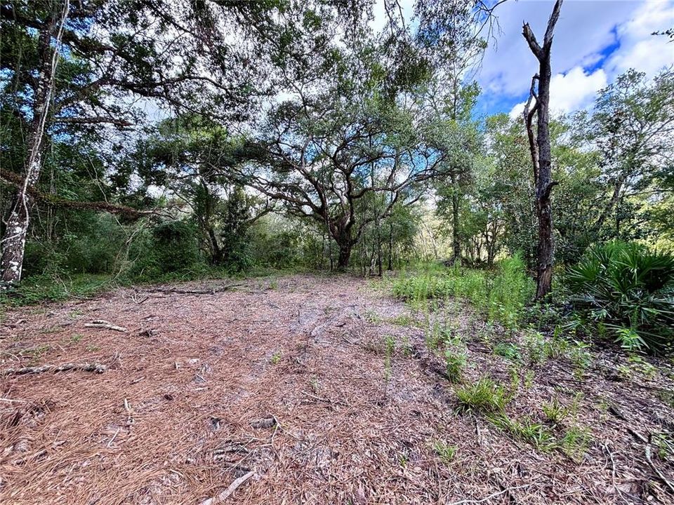 For Sale: $59,500 (1.86 acres)