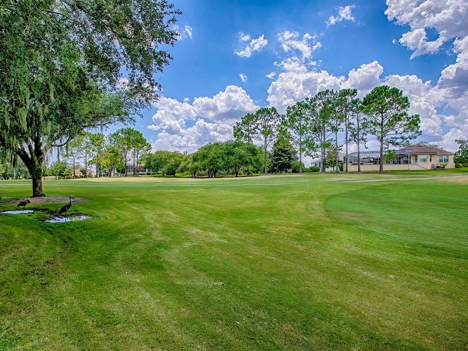 待售: $510,000 (3 贝兹, 2 浴室, 1995 平方英尺)