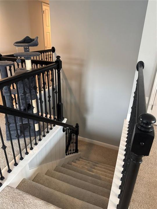 待售: $849,900 (7 贝兹, 5 浴室, 4649 平方英尺)