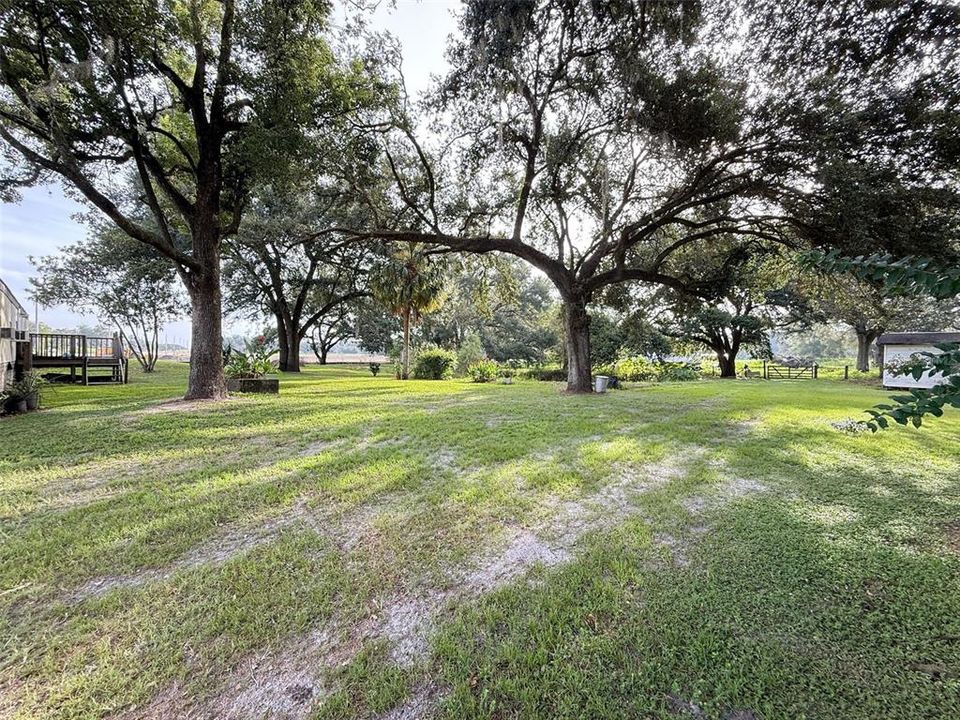 En Venta: $240,000 (4 camas, 2 baños, 924 Pies cuadrados)