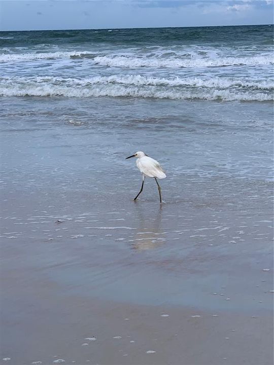 待售: $545,500 (3 贝兹, 2 浴室, 1407 平方英尺)