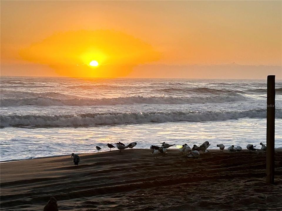 待售: $545,500 (3 贝兹, 2 浴室, 1407 平方英尺)