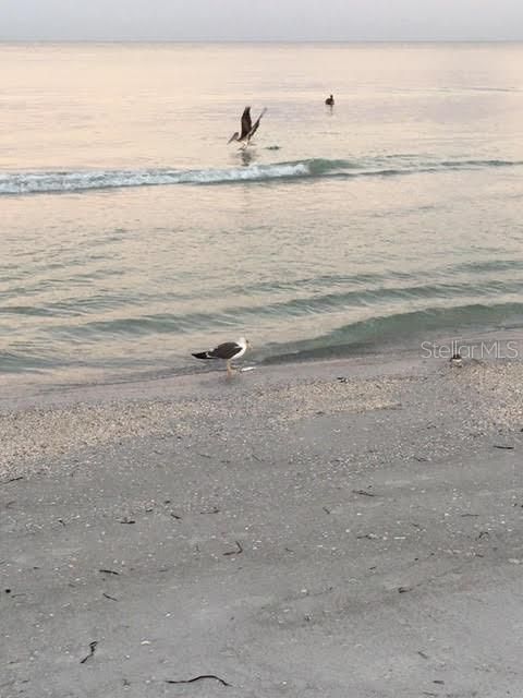 For Sale: $434,900 (2 beds, 2 baths, 1440 Square Feet)