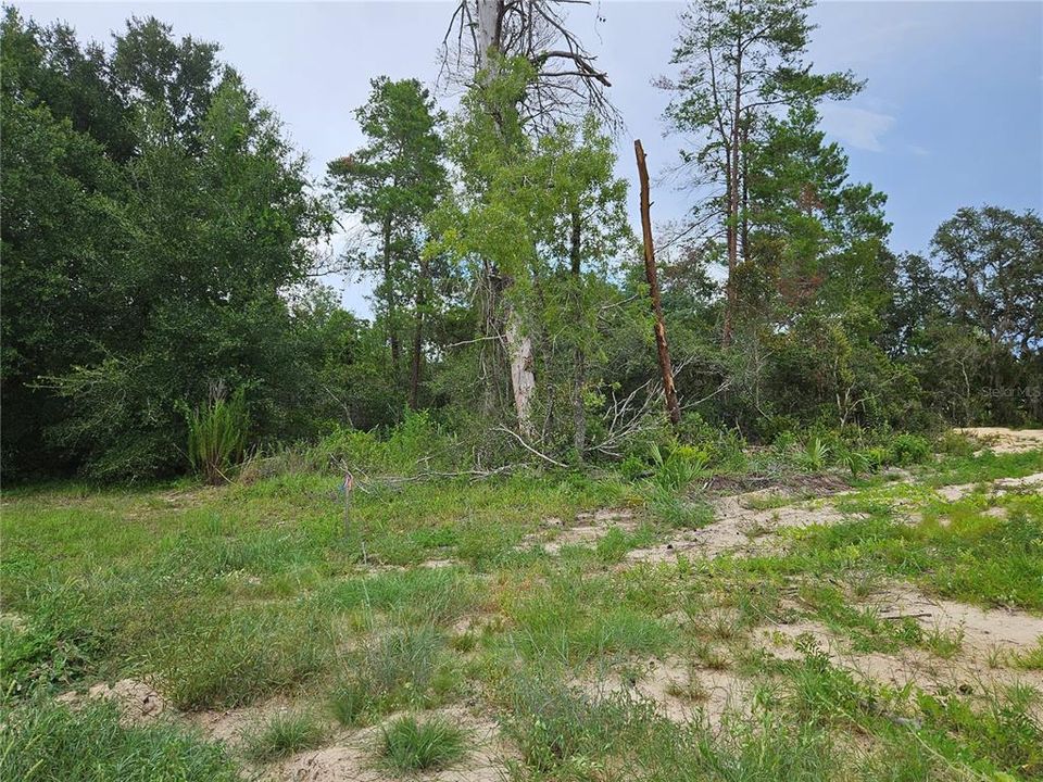 待售: $60,000 (0.55 acres)