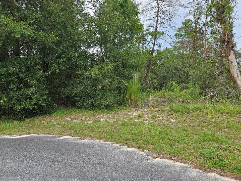 待售: $60,000 (0.55 acres)