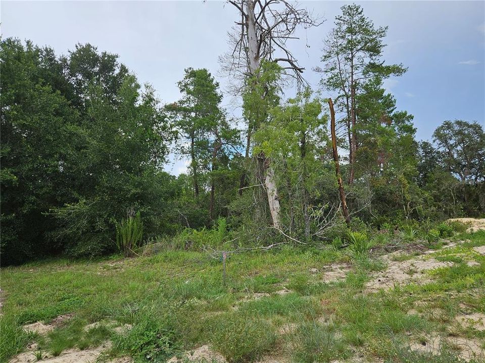 待售: $60,000 (0.55 acres)