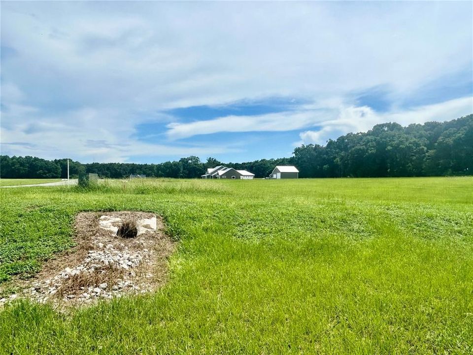 For Sale: $140,000 (4.99 acres)