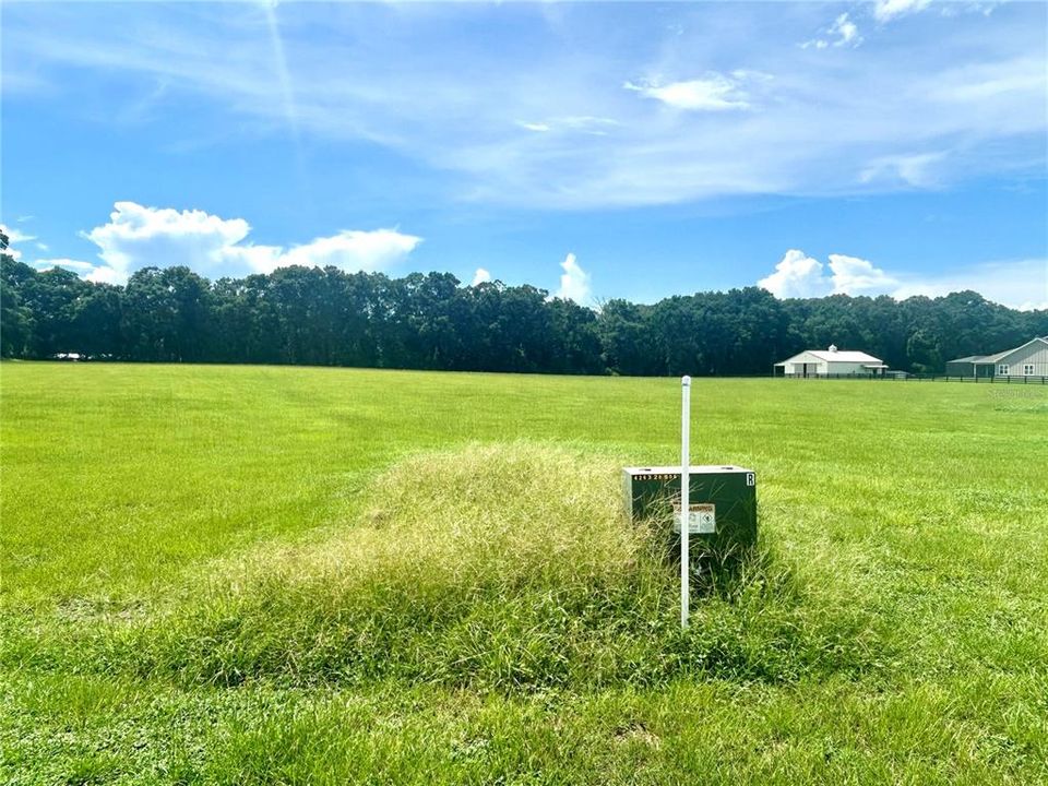 For Sale: $140,000 (4.99 acres)