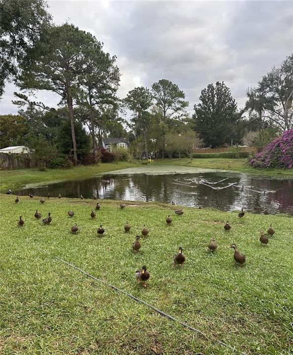 合同活跃: $659,000 (5 贝兹, 4 浴室, 2960 平方英尺)