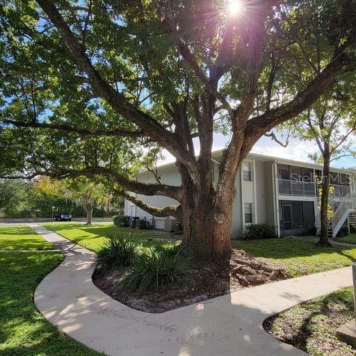 В аренду: $1,425 (2 спален, 2 ванн, 1012 Квадратных фут)