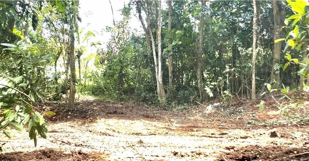 На продажу: $585,000 (39.80 acres)