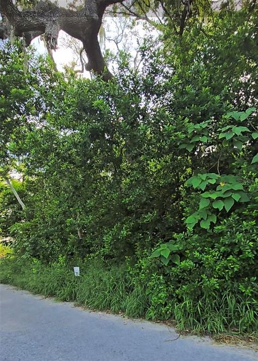 En Venta: $35,000 (0.12 acres)