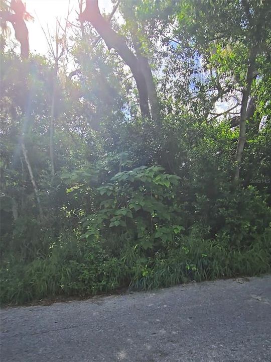 En Venta: $35,000 (0.12 acres)