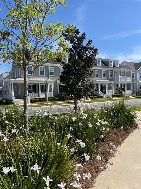 В аренду: $4,200 (3 спален, 2 ванн, 1638 Квадратных фут)