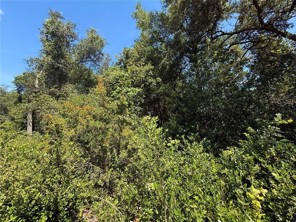 合同活跃: $24,500 (0.48 acres)