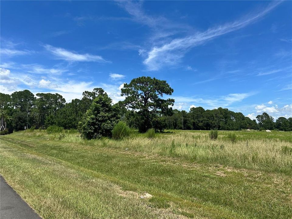 For Sale: $150,000 (1.03 acres)