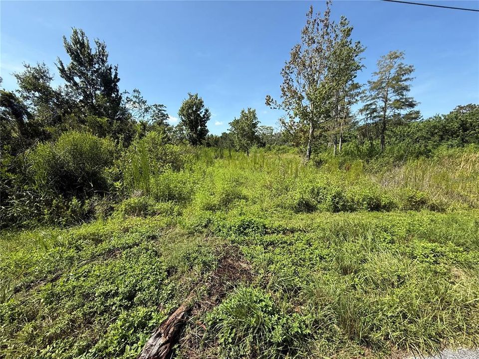 En Venta: $54,000 (0.91 acres)