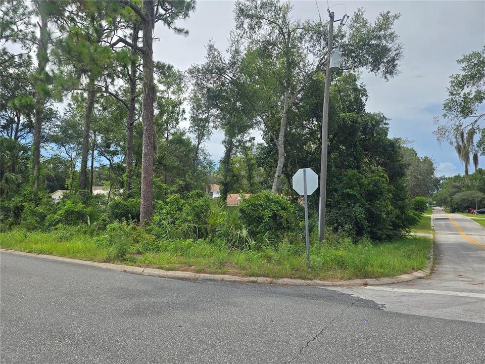 最近售出: $16,000 (0.22 acres)