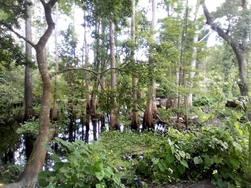 待售: $30,000 (0.48 acres)